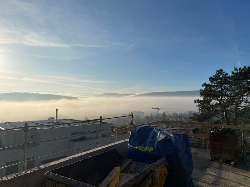 4.5 room attic apartment with spacious sun terrace and panoramic view (4)