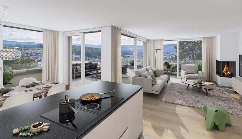 4.5 room attic apartment with spacious sun terrace and panoramic view (3)