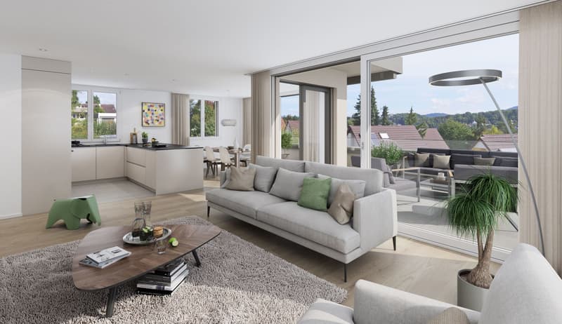 4.5 room attic apartment with spacious sun terrace and panoramic view (2)