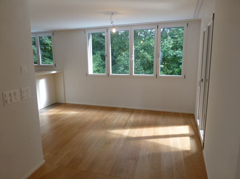 Appartamento moderno situato in una zona tranquilla con molta privacy (3)