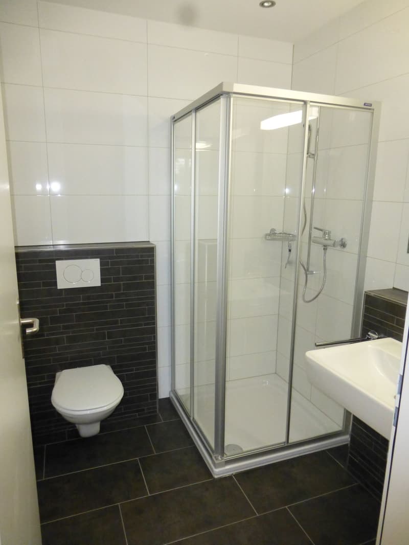 Fantastische 3.5 Zimmer-Wohnung an zentraler Lage (8)