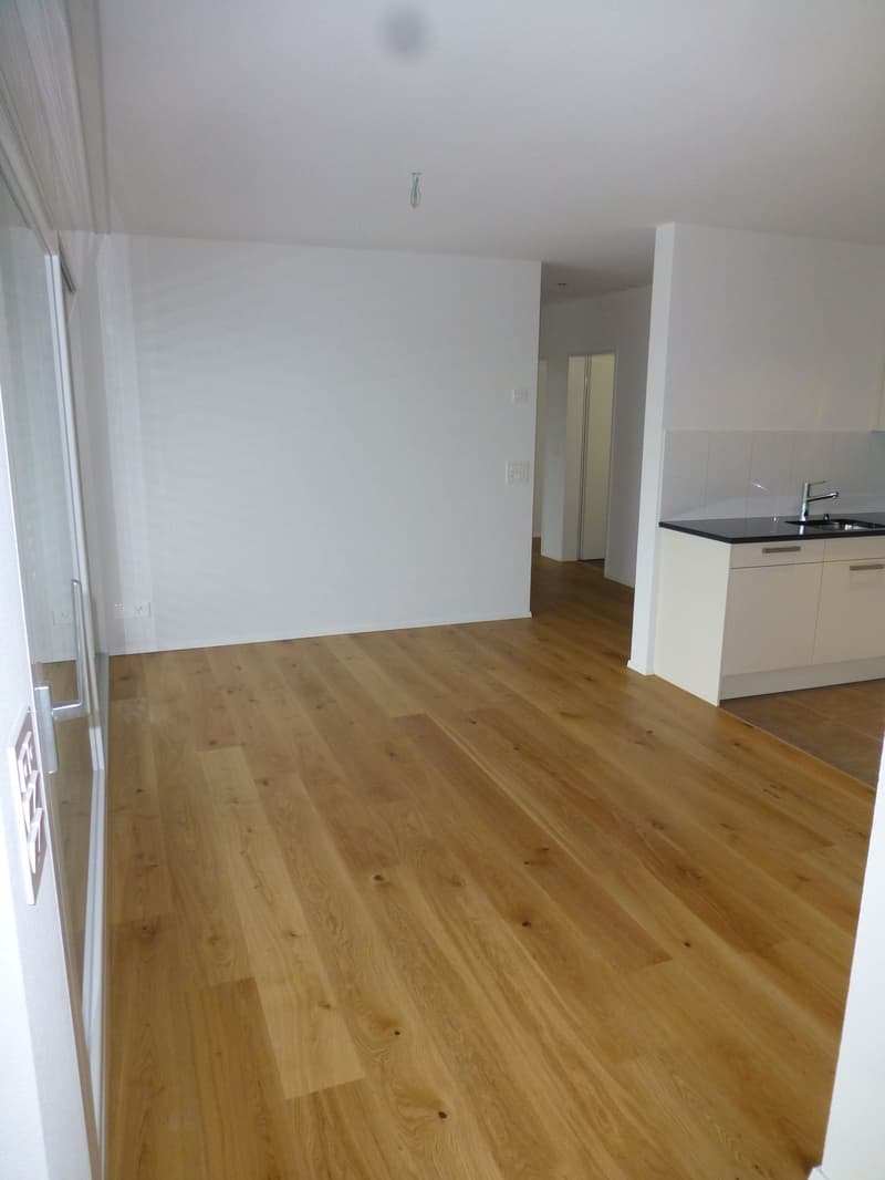 Fantastische 3.5 Zimmer-Wohnung an zentraler Lage (6)