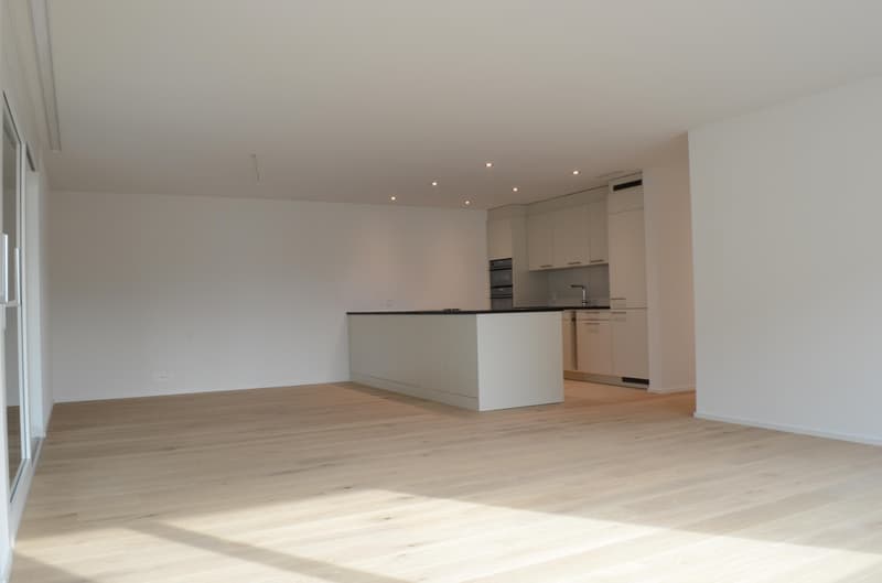 Ihr modernes Zuhause im Zentrum von Goldach (3)