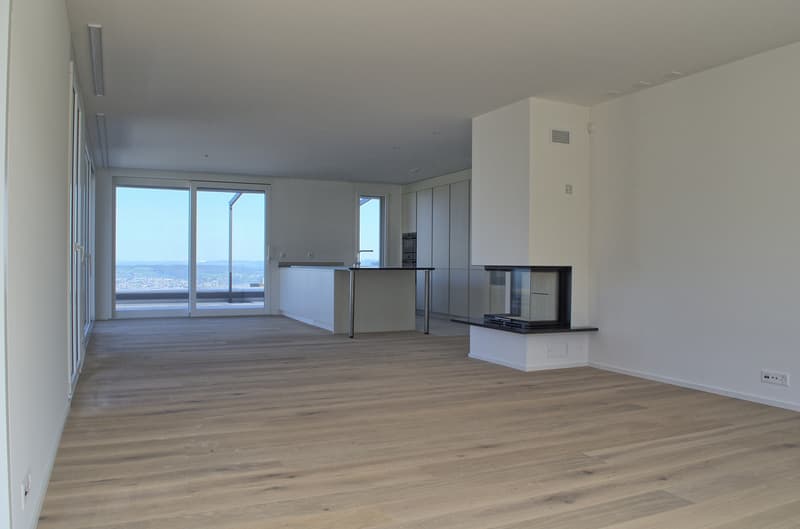 Hochwertige Attika Terrassenwohnung mit Seesicht (4)