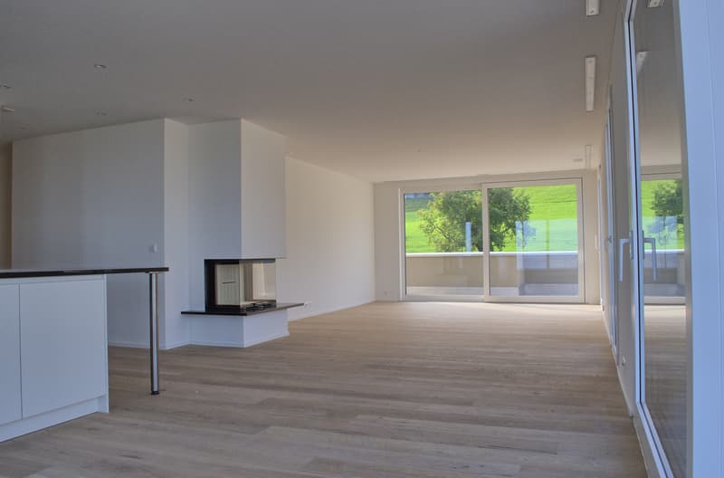 Hochwertige Attika Terrassenwohnung mit Seesicht (5)