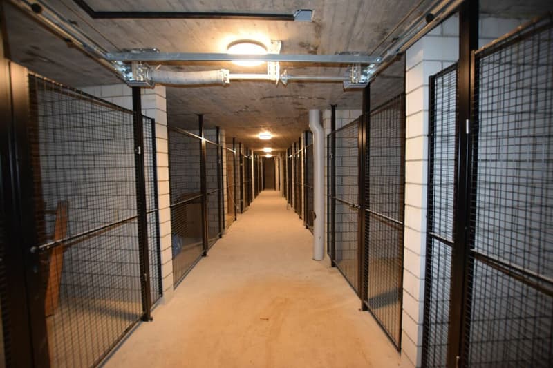 Great, spacious 3.5-room apartment for locals (7)