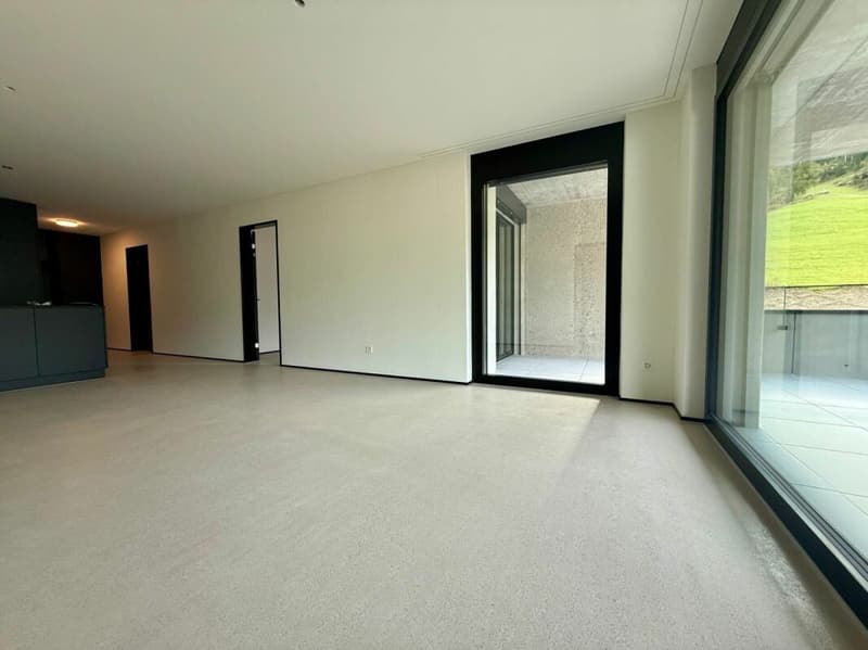 Great, spacious 3.5-room apartment for locals (2)