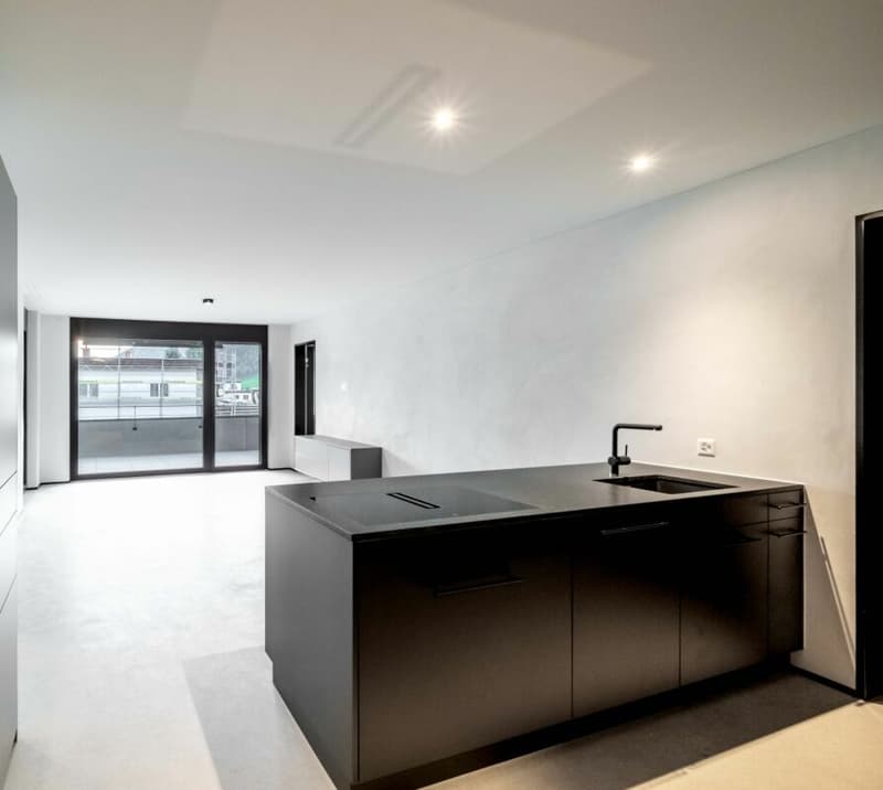 Great, spacious 3.5-room apartment for locals (1)