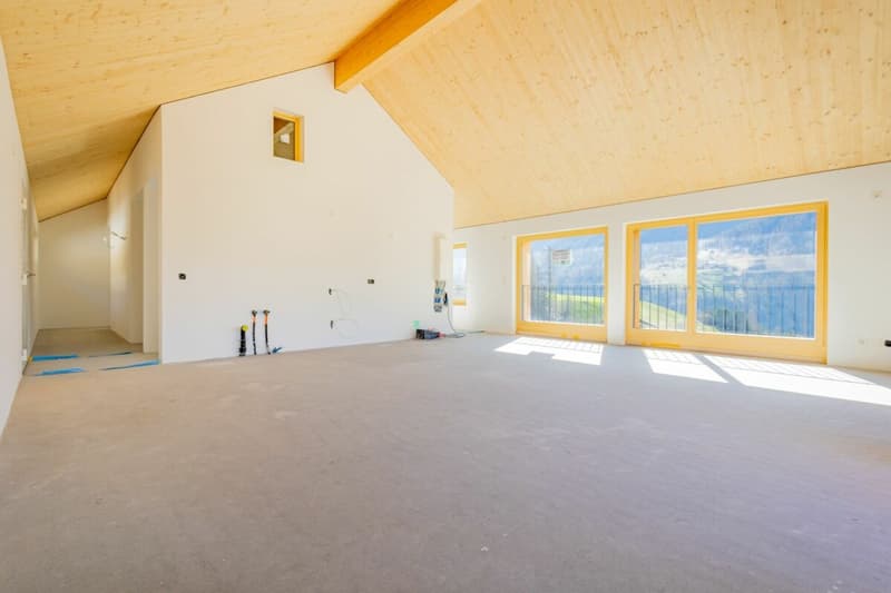 3.5-room apartment in the new Gürgetsch building (2)