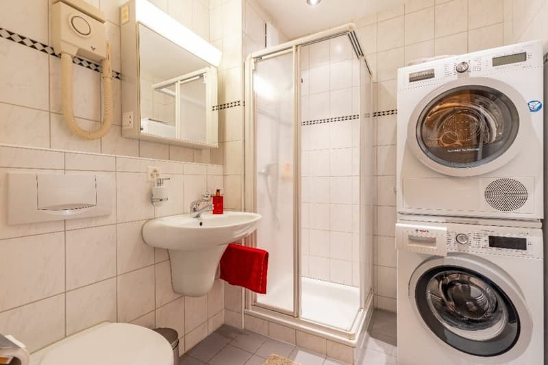 3.5-Zimmer-Dachwohnung möbliert (7)