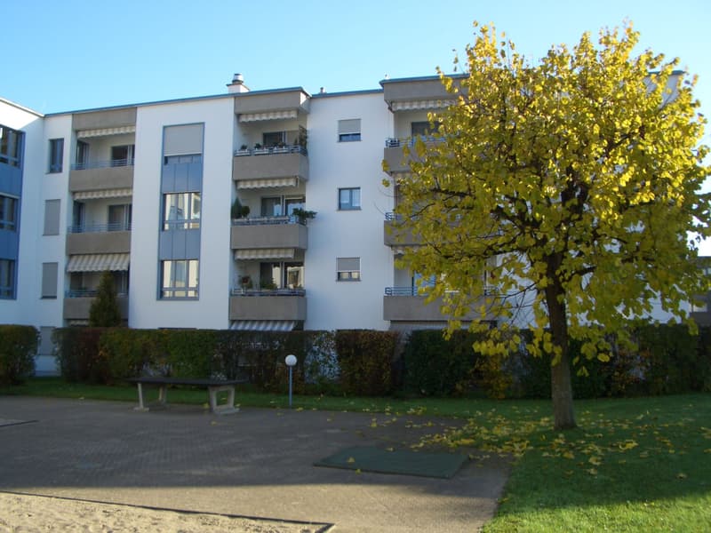 Sonnige und grosszügige 3 1/2-Zimmerwohnung in Rheinfelden (1)