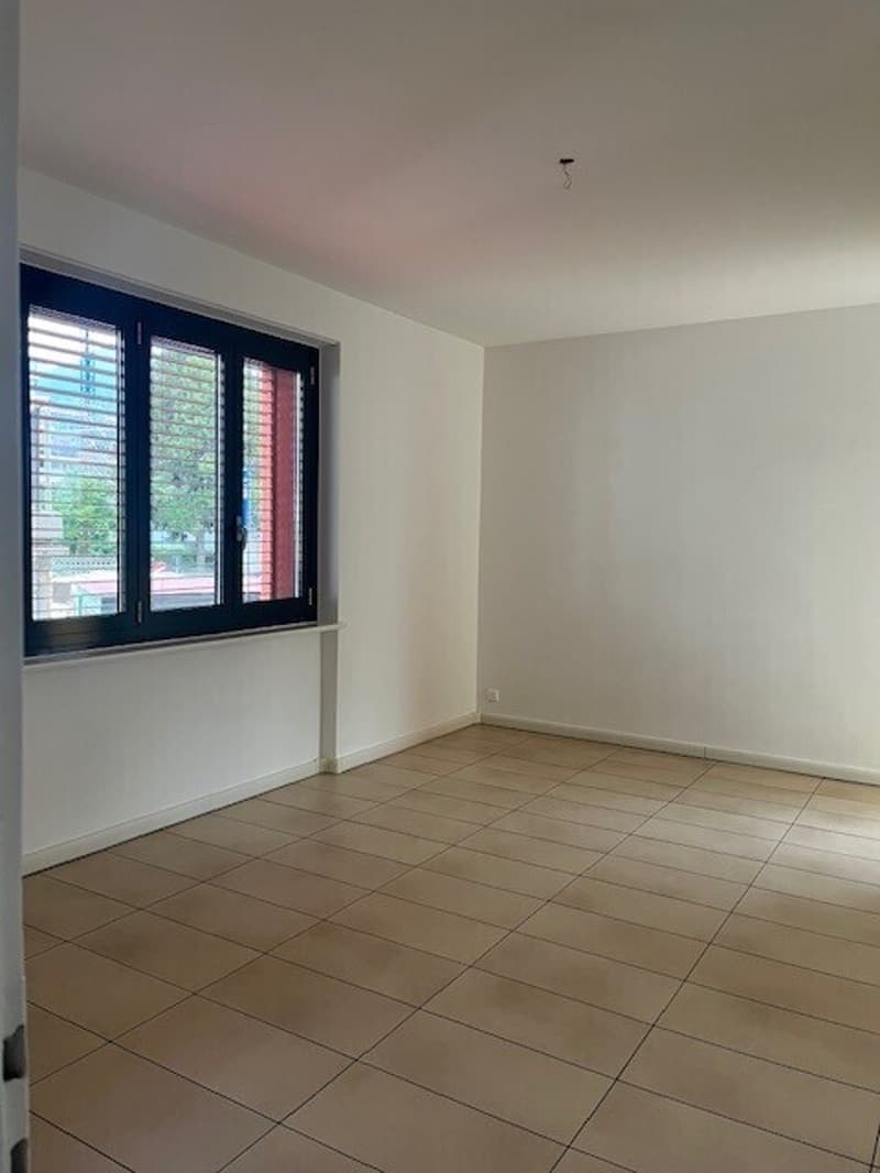 LOCARNO, Affittasi appartamento di 4 1/2 locali (5)