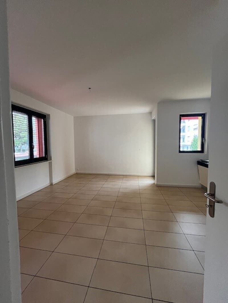 LOCARNO, Affittasi appartamento di 4 1/2 locali (2)
