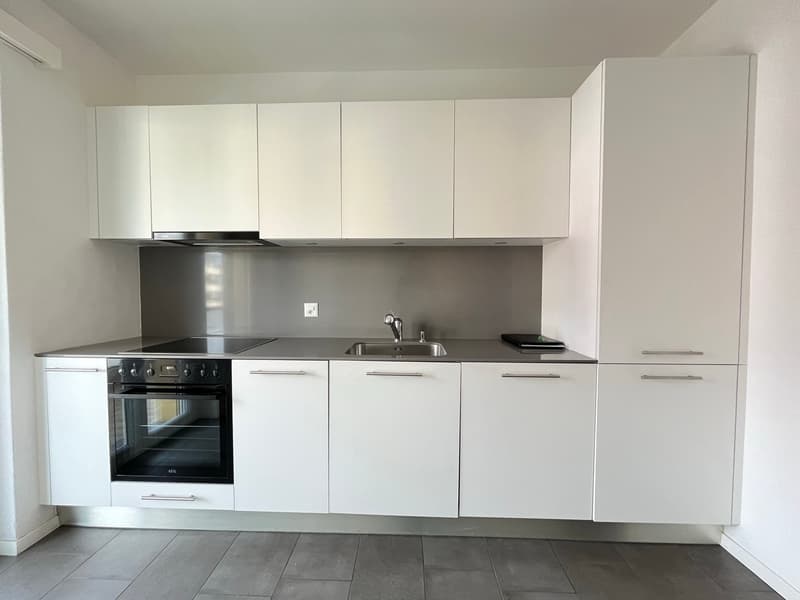 BELLINZONA, Affittiamo appartamento rinnovato di 2½ locali (2)
