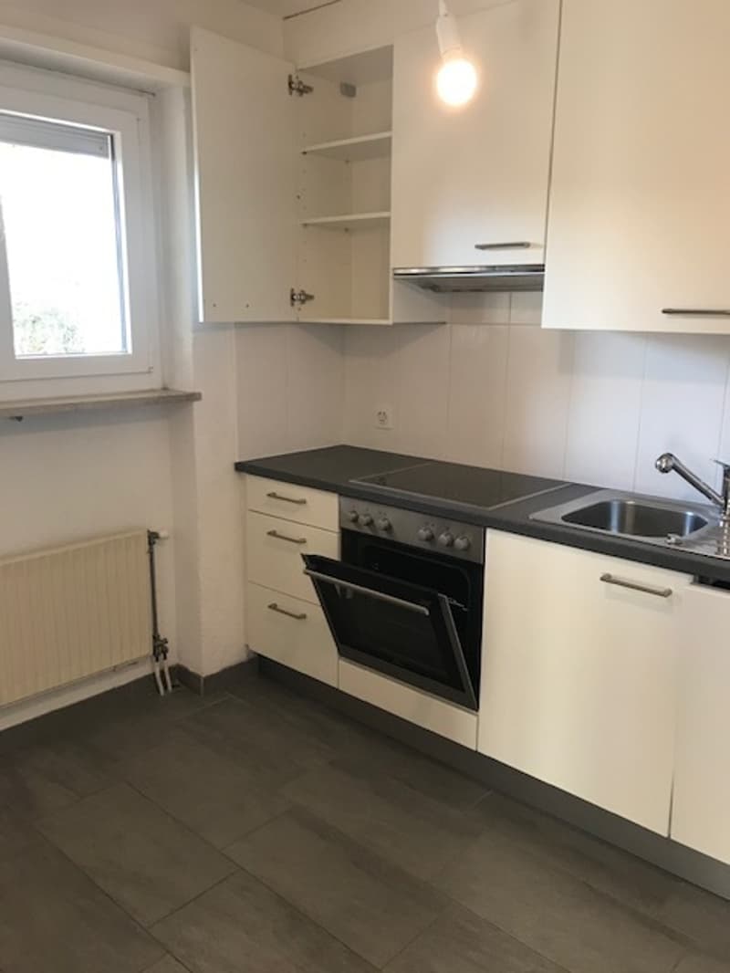ASCONA, affittiamo appartamento 3 1/2 locali in zona centrale (2)
