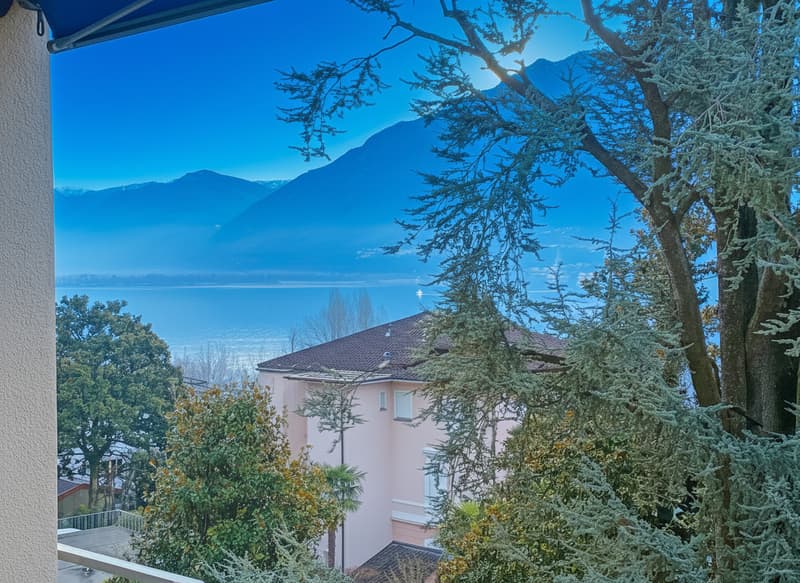 MINUSIO - Vendesi 3.5 locali con piscina coperta anche res. secondaria (3)
