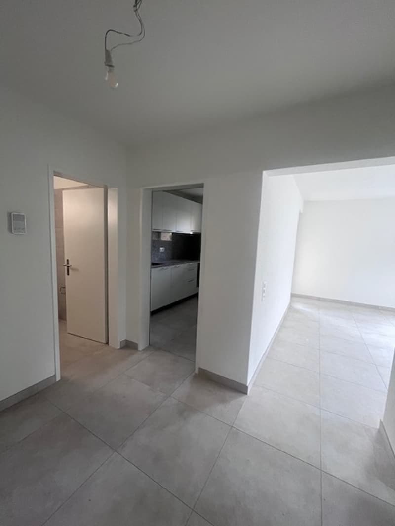 ASCONA, affittiamo appartamento di 2 1/2 locali in zona centrale (7)