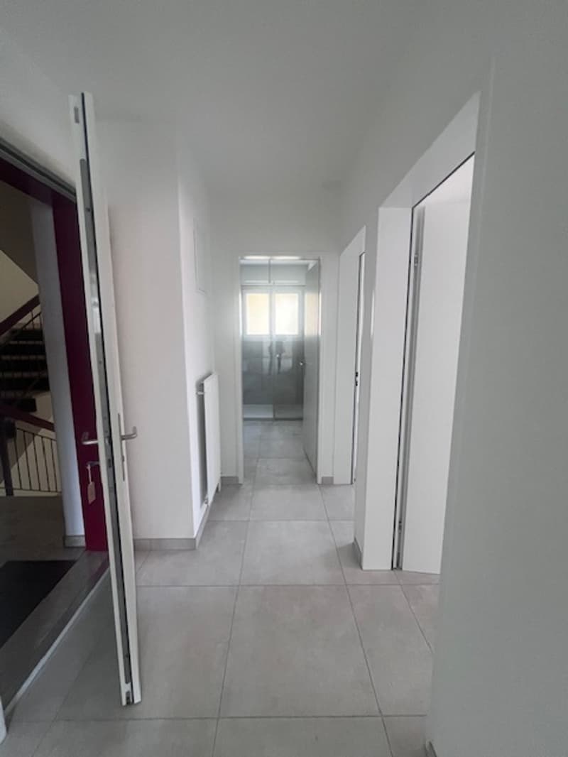 ASCONA, affittiamo appartamento 3 1/2 locali in zona centrale (7)
