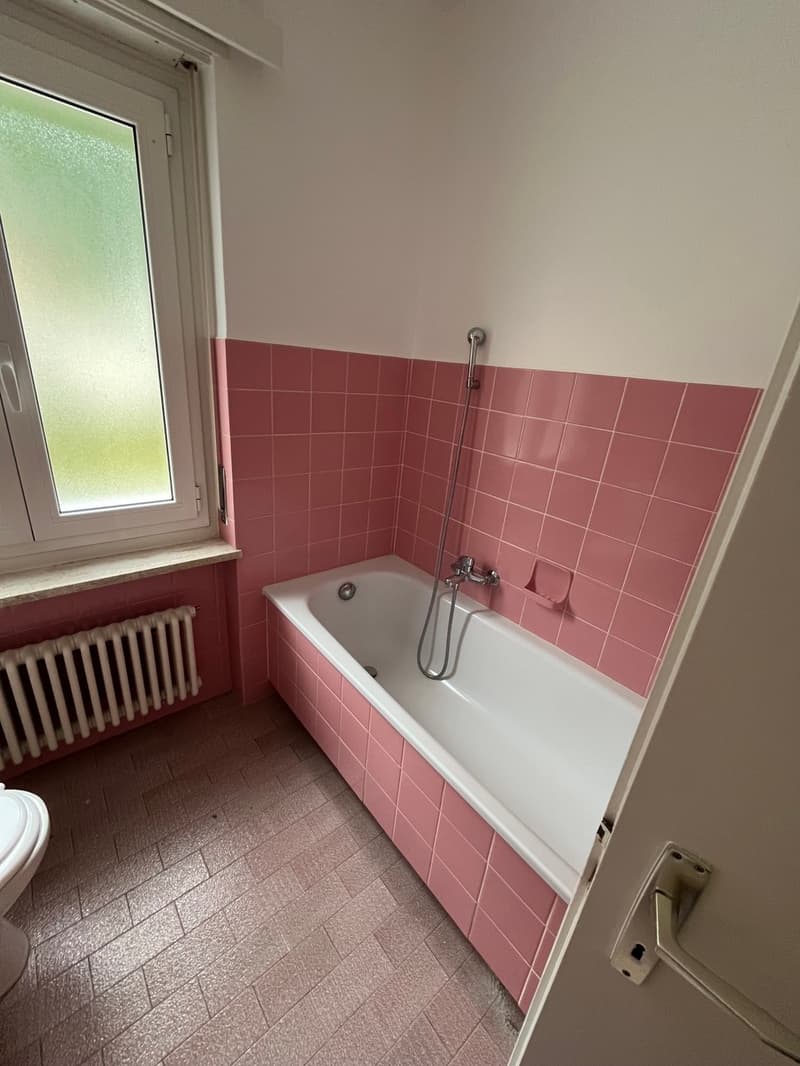 LOCARNO-SOLDUNO, AFFITTASI APPARTAMENTO DI 4 1/2 LOCALI (6)