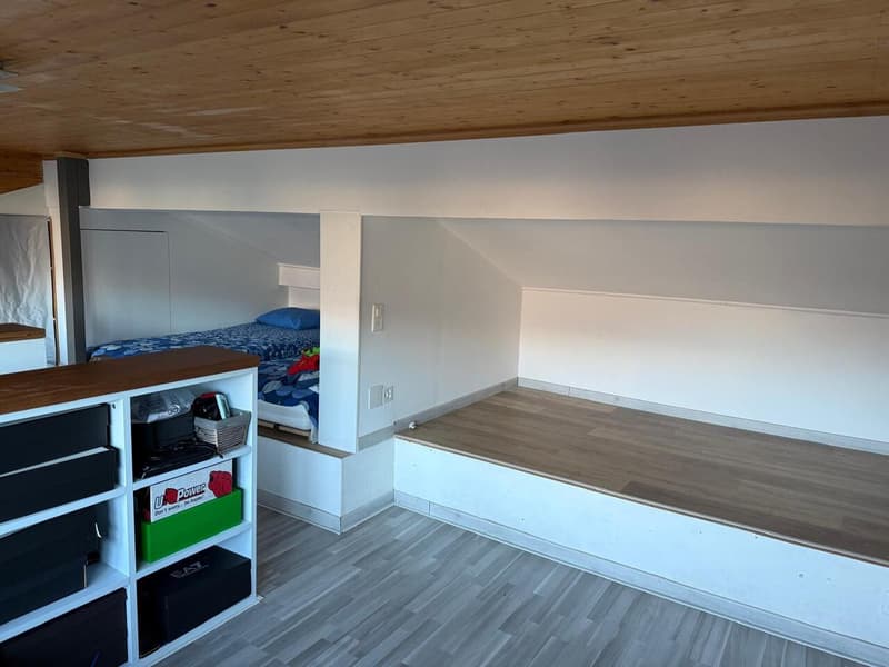 PIAZZOGNA - Maison mitoyenne rénovée, grand jardin, vue sur le lac (9)