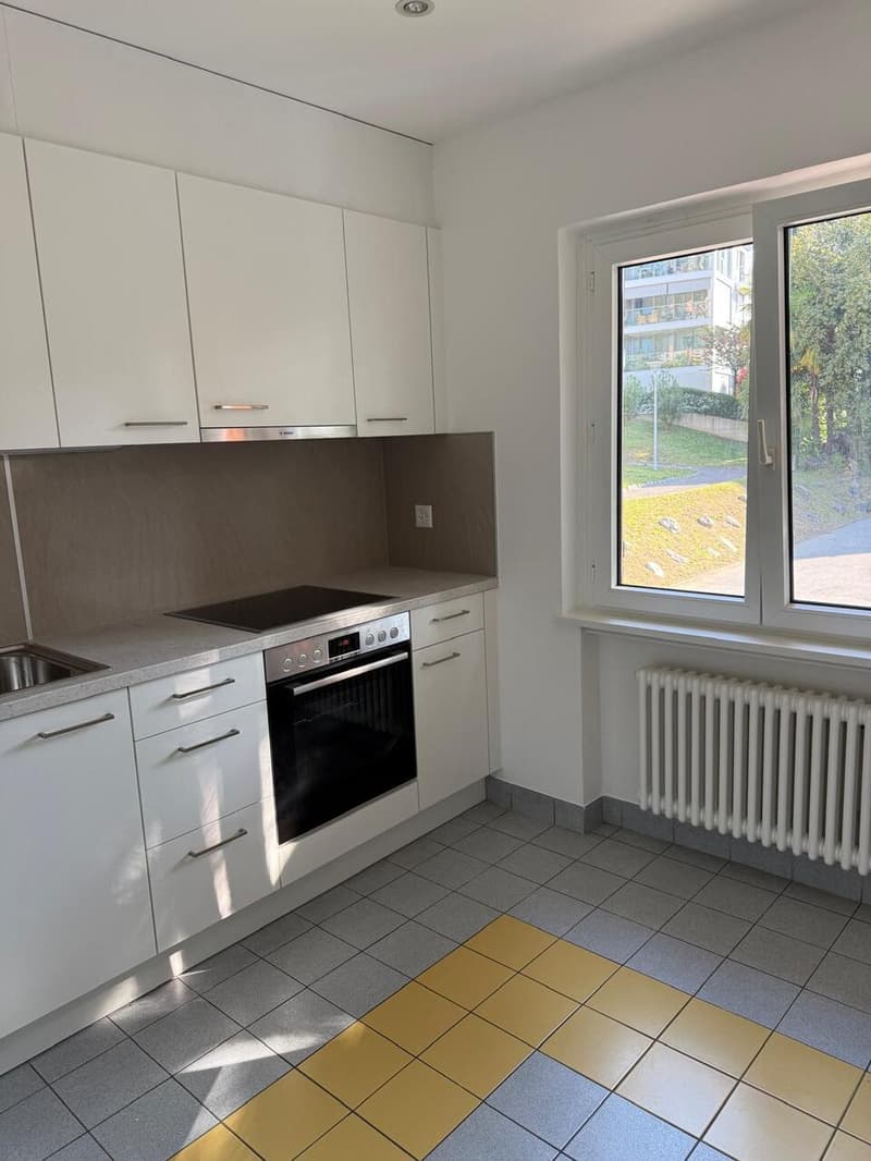 Casa tipica a reddito nel cuore di Muralto - 2 negozi e 3 appartamenti (8)