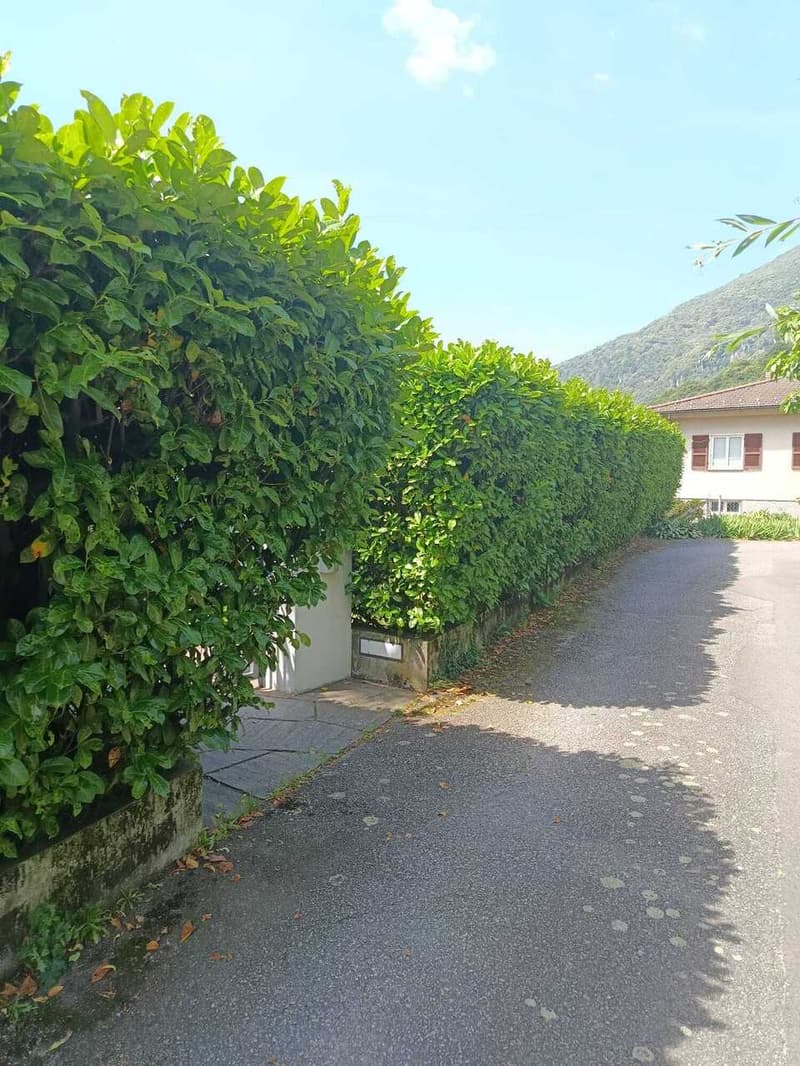 BELLINZONA/GALBISIO - Villa unifamiliare con grande giardino (11)