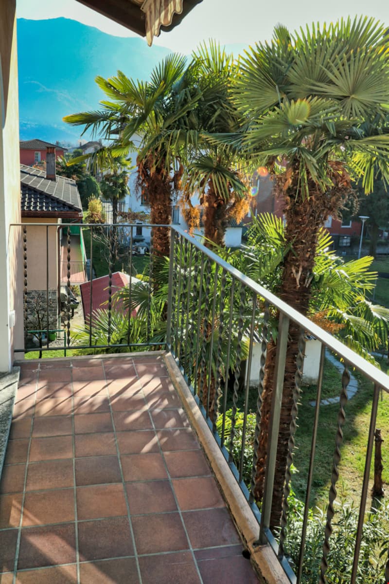 ASCONA,  Affittiamo elegante 3½ locali con camino e stile (5)