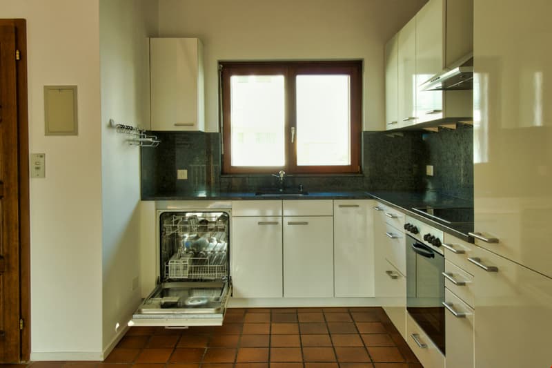 ASCONA,  Affittiamo elegante 3½ locali con camino e stile (10)