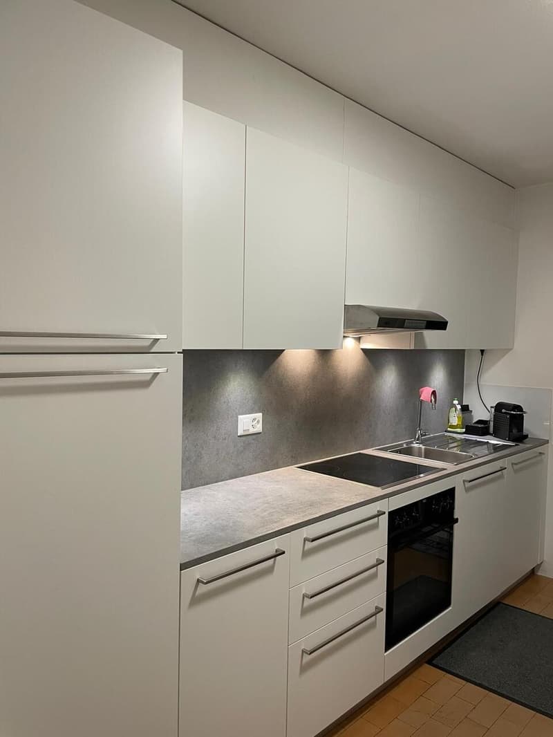 SEMENTINA, Affittiamo appartamento di 3½ locali (6)