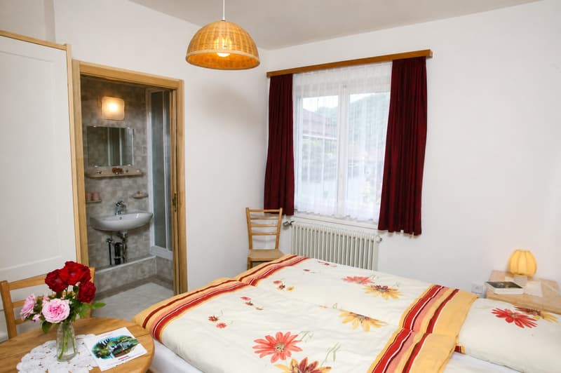Hotel-ristorante con 9 camere, giardino e 10 posti auto (6)