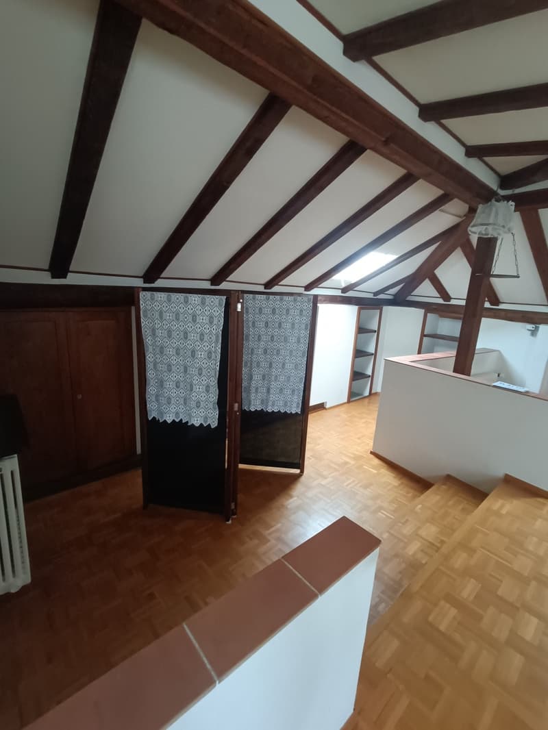 ASCONA, AFFITTIAMO APPARTAMENTO AMMOBILIATO DI 1 1/2 LOCALI (7)