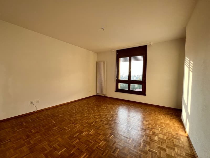 SEMENTINA, Affittiamo appartamento di 3½ locali (6)