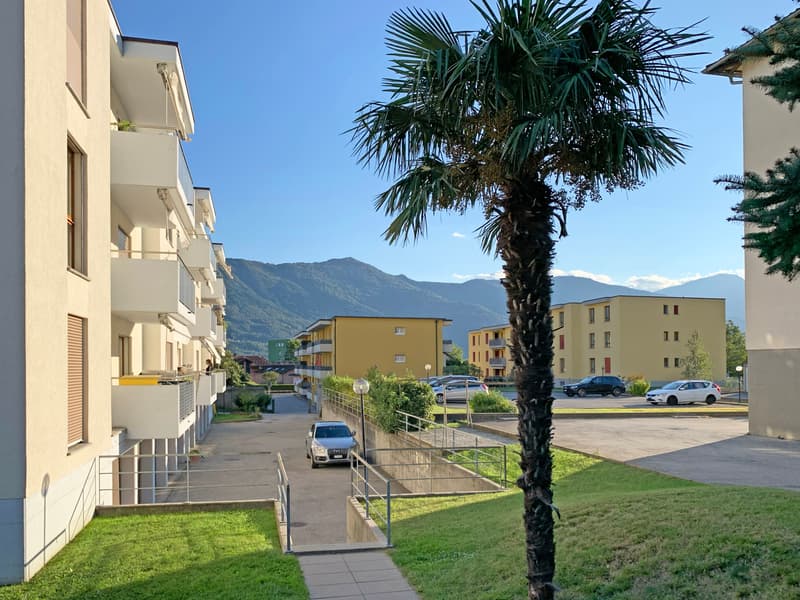 SEMENTINA, Affittiamo appartamento di 3½ locali (2)