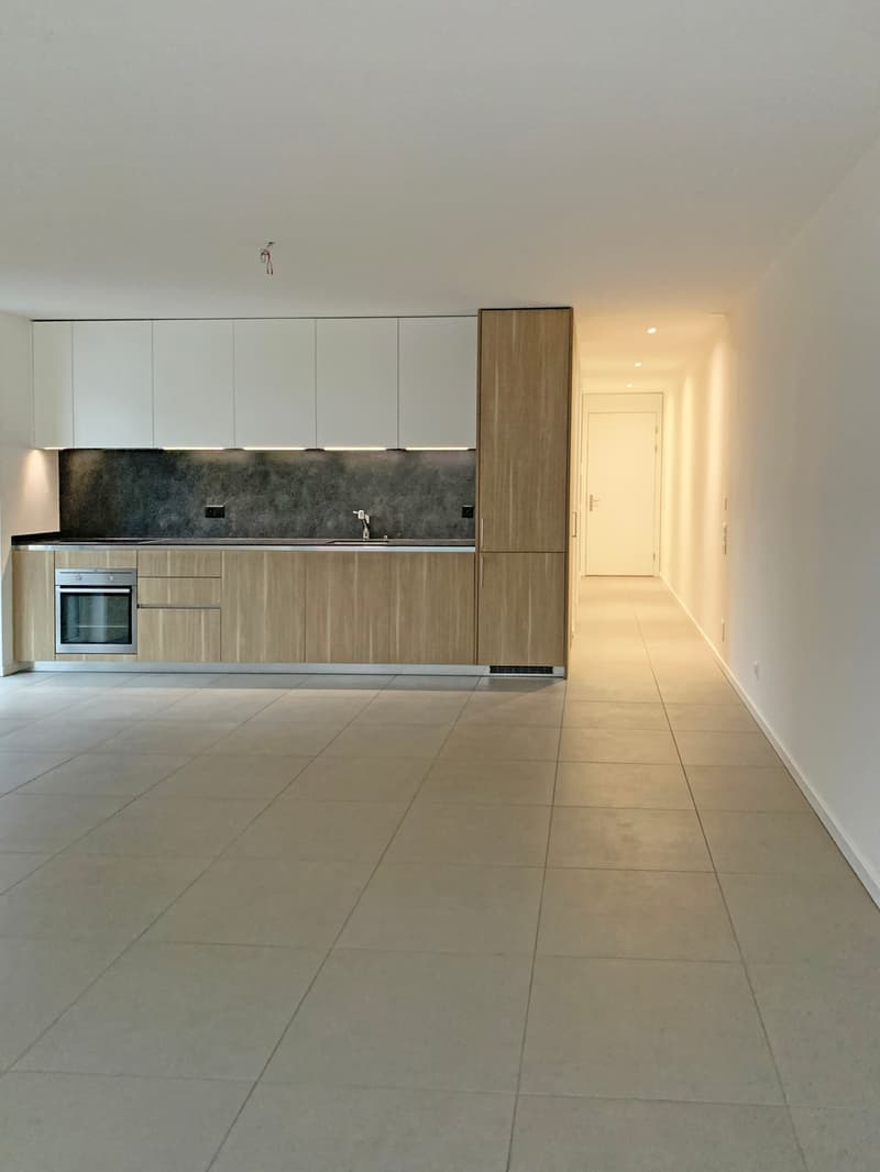BELLINZONA, Affittasi 2½ locali moderno e centrale (2)