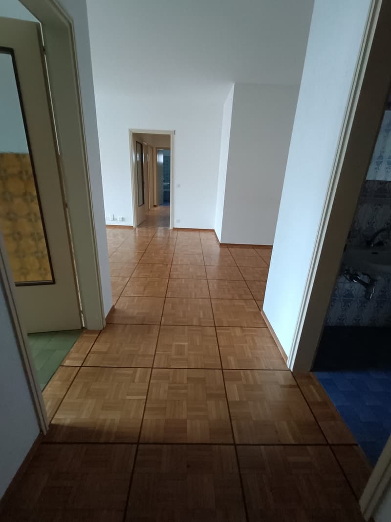ASCONA, affittiamo spazioso 3 1/2 locali (3)
