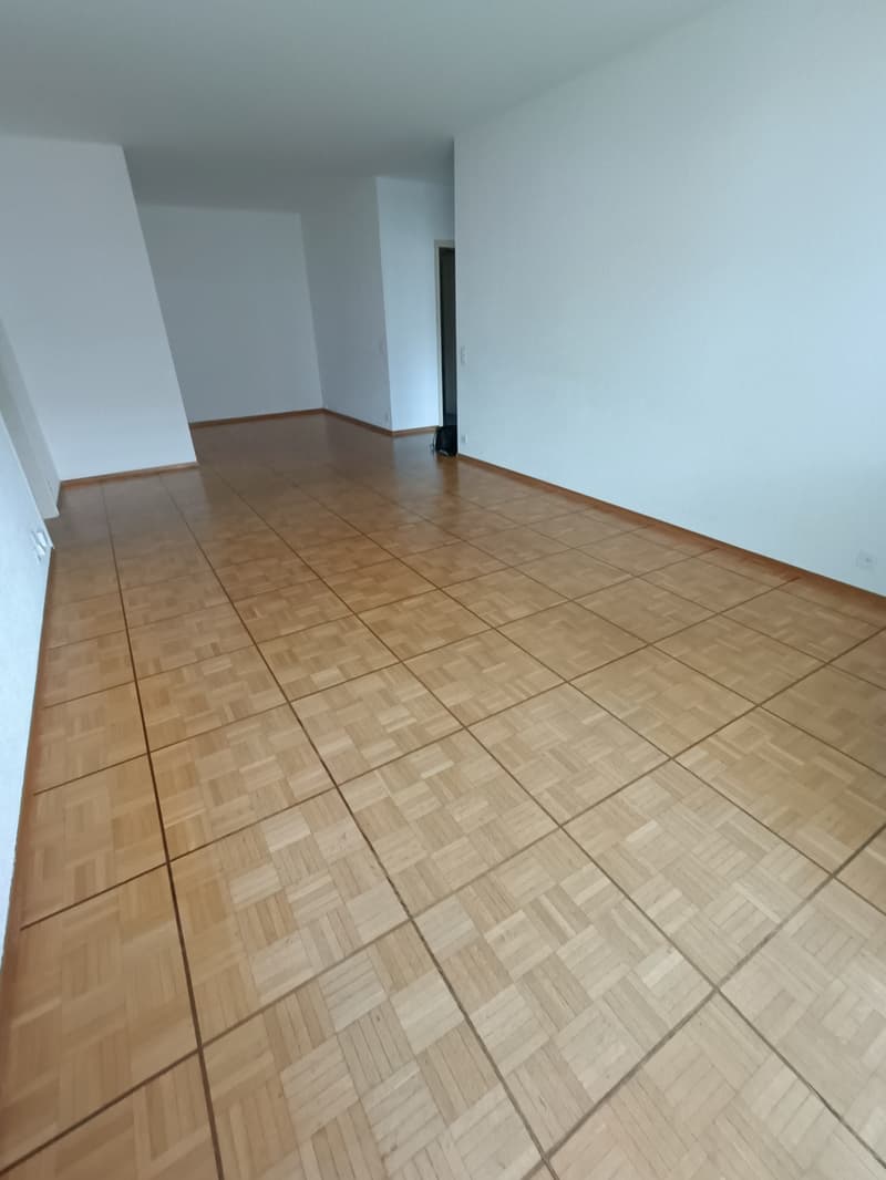 ASCONA, affittiamo spazioso 3 1/2 locali (8)