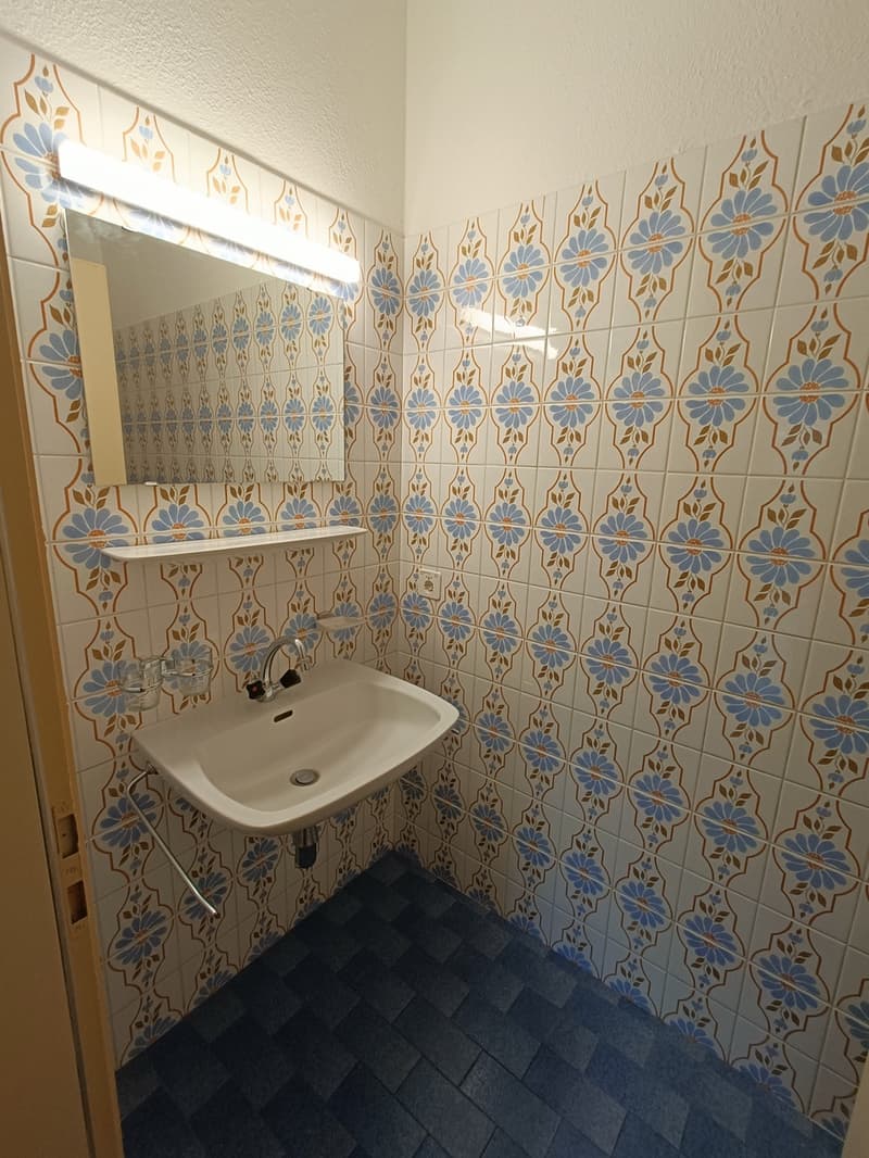 ASCONA, affittiamo spazioso 3 1/2 locali (10)