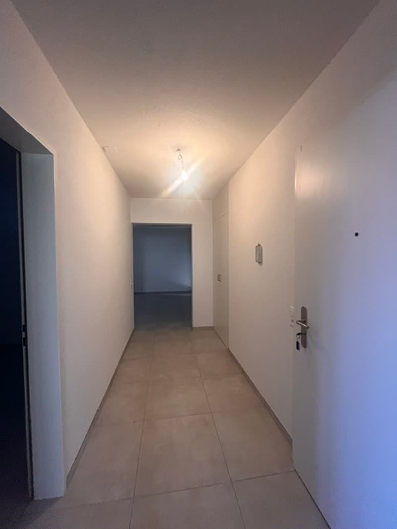 ASCONA, affittiamo appartamento 3 1/2 locali in zona centrale (3)