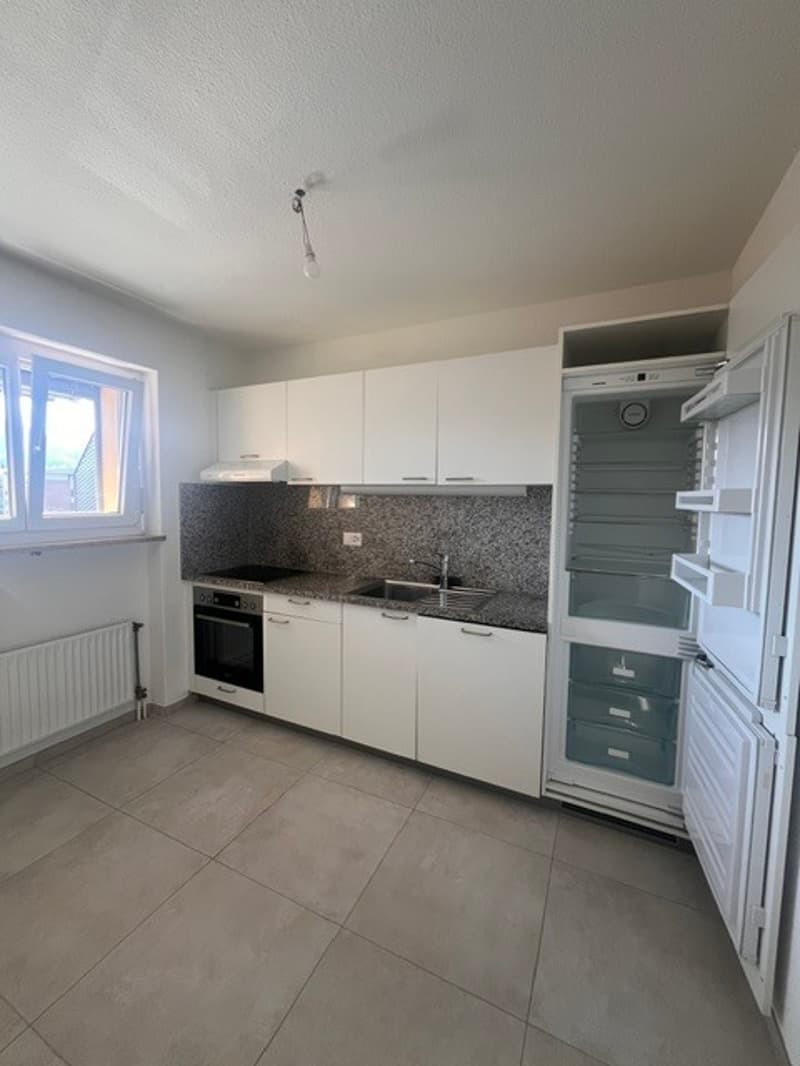 ASCONA, affittiamo appartamento 3 1/2 locali in zona centrale (6)