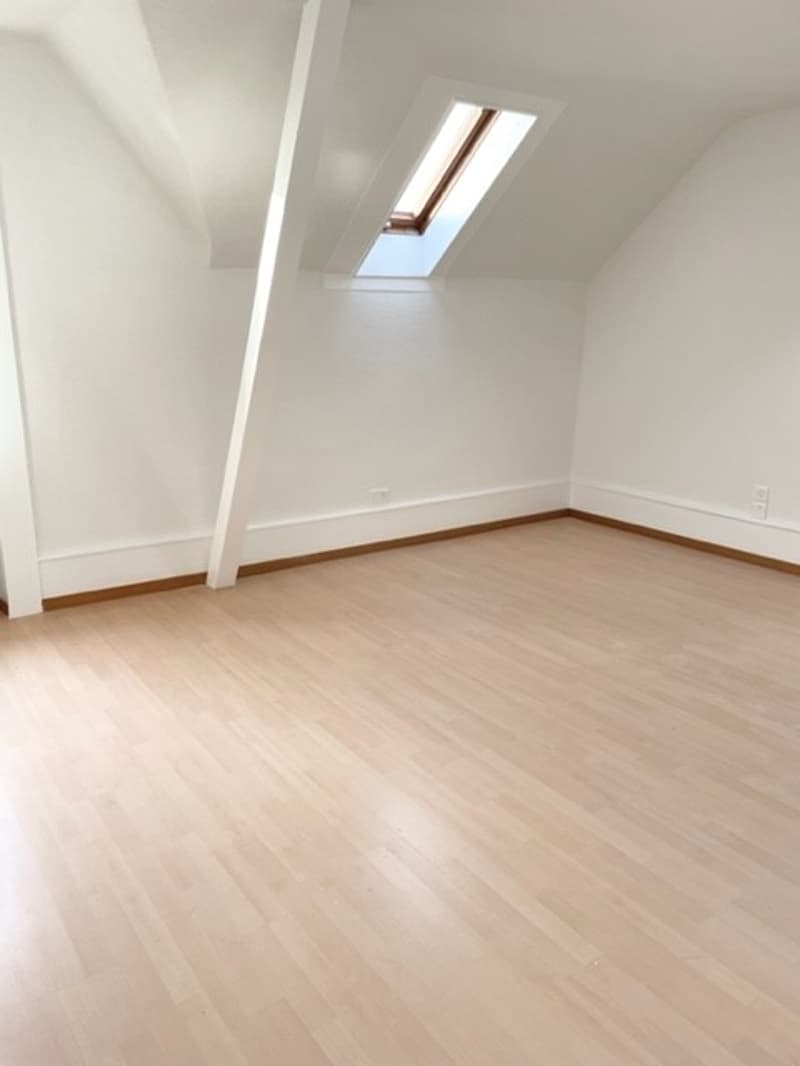 Charming 3-room apartment on the 3rd floor (6)