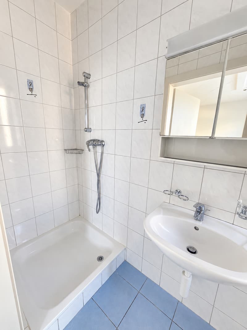 1er loyer offert ! Appartement de 3 pièces situé au rez-de-chaussée (6)