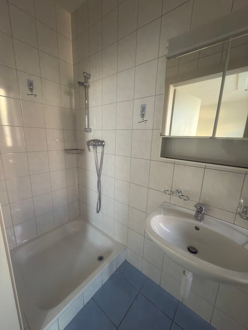 1° affitto offerto! Appartamento di 3 locali al pianterreno (5)