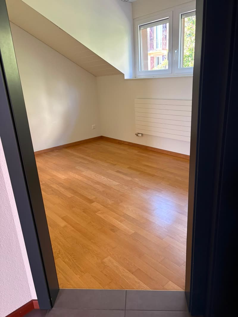Beautiful 2.5-room apartment (6)