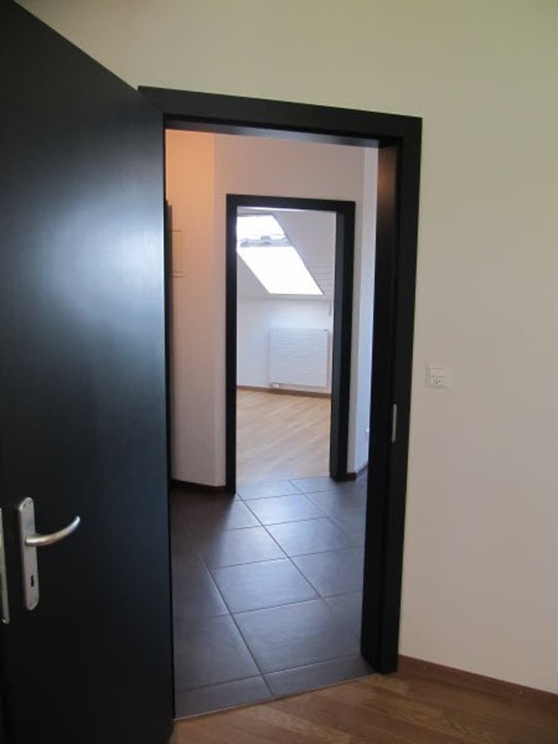 Bello appartamento di 2,5 locali (4)