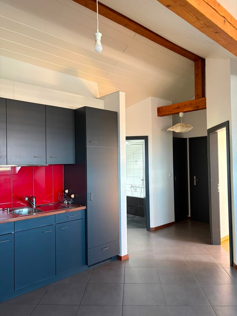 Beautiful 2.5-room apartment (3)
