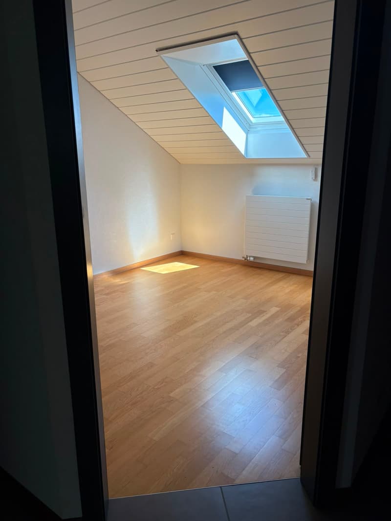 Beautiful 2.5-room apartment (5)