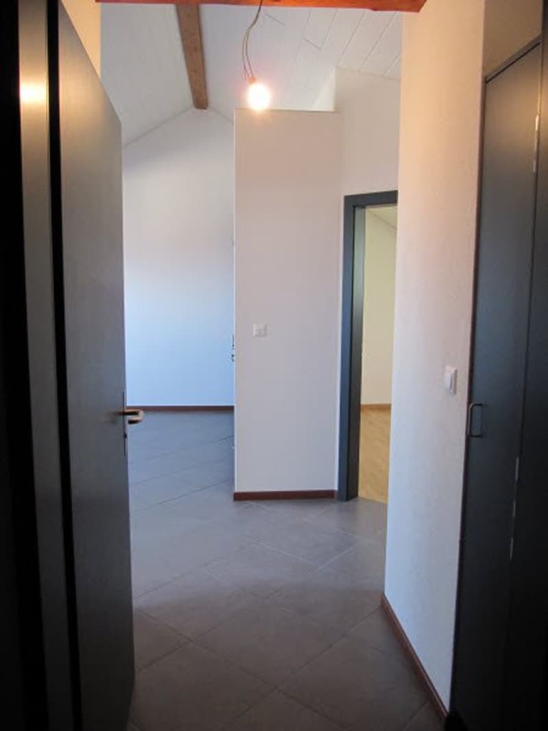 Bello appartamento di 2,5 locali (3)