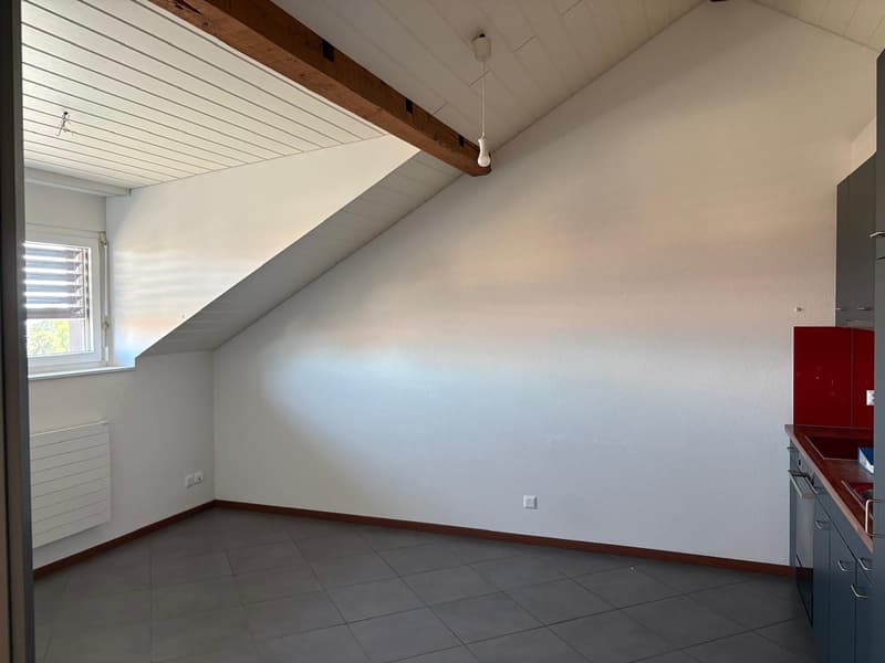 Beautiful 2.5-room apartment (7)