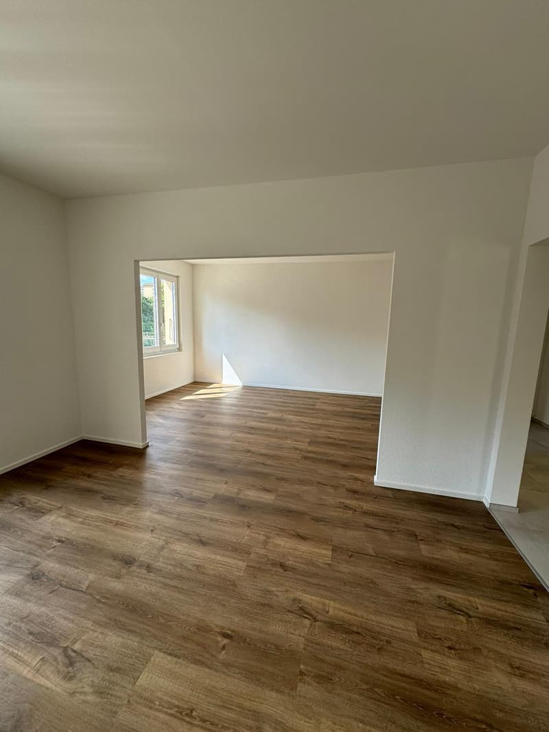Magnificent fully renovated apartment in PPE with 4 rooms (93m2) (3)