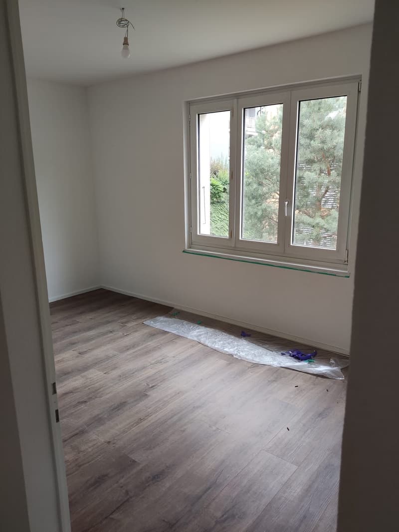 Magnificent fully renovated apartment in PPE with 4 rooms (93m2) (7)